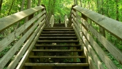PICTURES/Keymoor Trail - New River Gorge/t_Up Stairs1.JPG